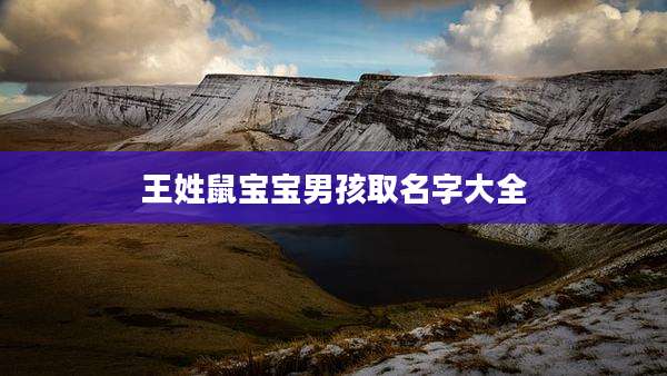 王姓鼠宝宝男孩取名字大全