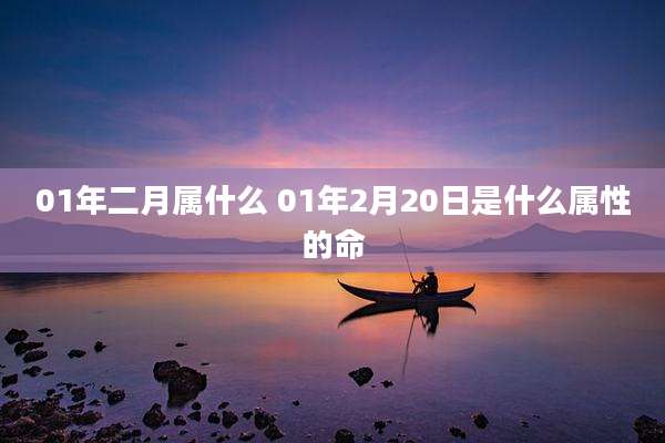 01年二月属什么 01年2月20日是什么属性的命