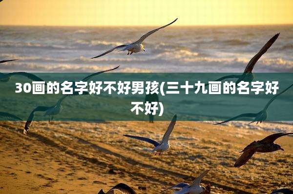 30画的名字好不好男孩(三十九画的名字好不好)