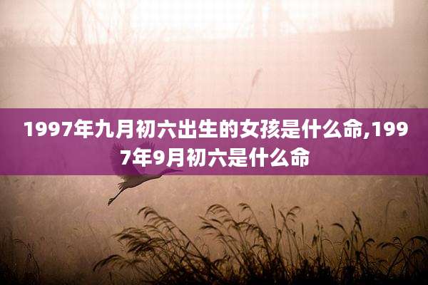 1997年九月初六出生的女孩是什么命,1997年9月初六是什么命