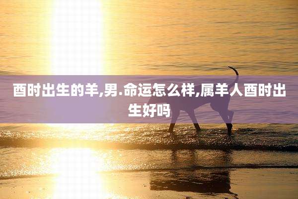 酉时出生的羊,男.命运怎么样,属羊人酉时出生好吗