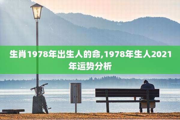 生肖1978年出生人的命,1978年生人2021年运势分析