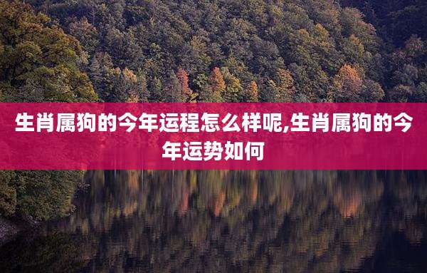 生肖属狗的今年运程怎么样呢,生肖属狗的今年运势如何