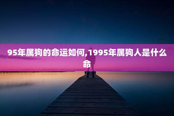 95年属狗的命运如何,1995年属狗人是什么命