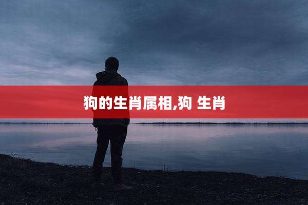 狗的生肖属相,狗 生肖