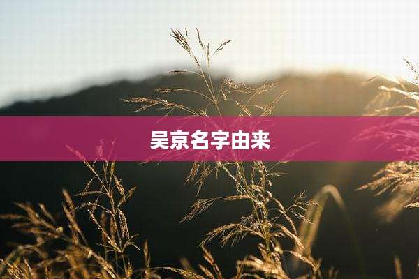 吴京名字由来