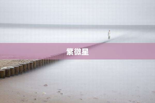 紫微星