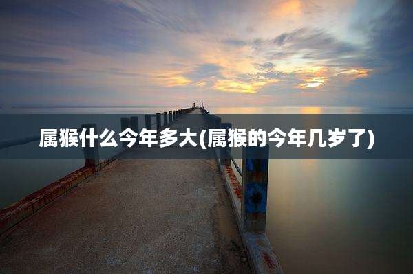 属猴什么今年多大(属猴的今年几岁了)