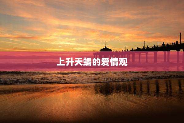 上升天蝎的爱情观
