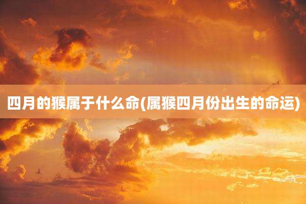 四月的猴属于什么命(属猴四月份出生的命运)