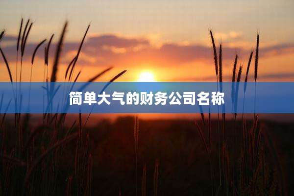 简单大气的财务公司名称