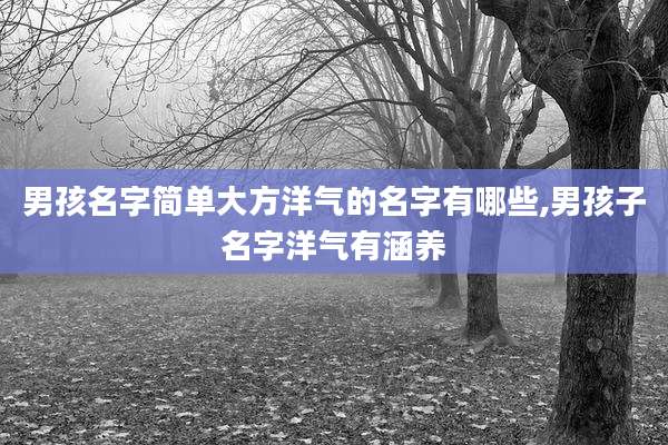 男孩名字简单大方洋气的名字有哪些,男孩子名字洋气有涵养