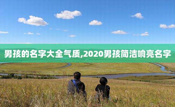 男孩的名字大全气质,2020男孩简洁响亮名字