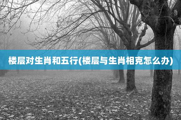 楼层对生肖和五行(楼层与生肖相克怎么办)