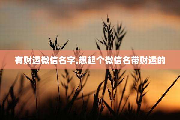 有财运微信名字,想起个微信名带财运的