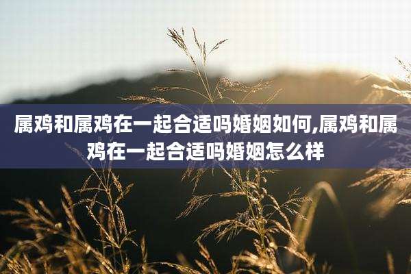 属鸡和属鸡在一起合适吗婚姻如何,属鸡和属鸡在一起合适吗婚姻怎么样