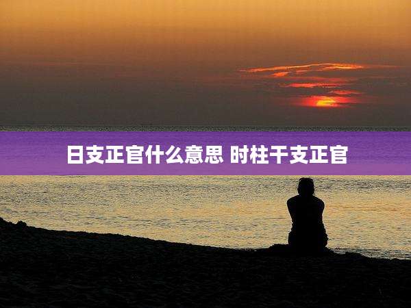 日支正官什么意思 时柱干支正官