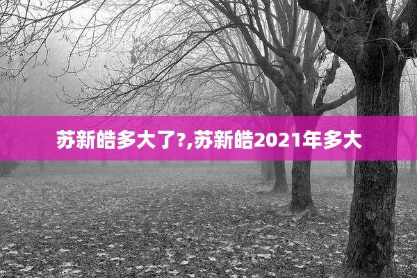 苏新皓多大了?,苏新皓2021年多大