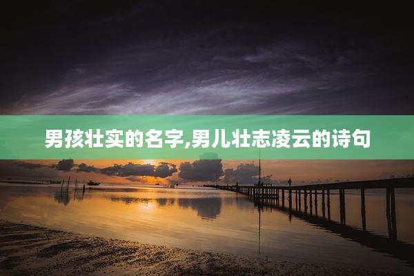 男孩壮实的名字,男儿壮志凌云的诗句