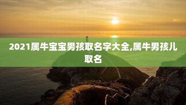 2021属牛宝宝男孩取名字大全,属牛男孩儿取名