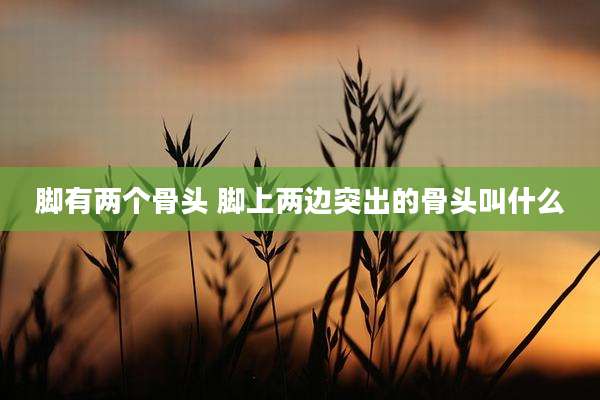 脚有两个骨头 脚上两边突出的骨头叫什么