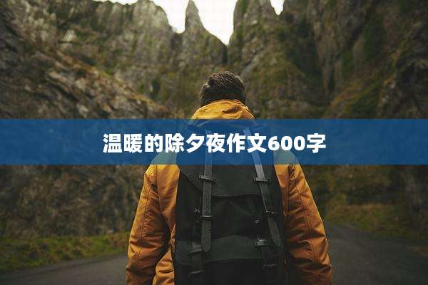 温暖的除夕夜作文600字
