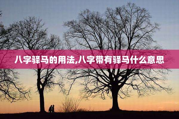 八字驿马的用法,八字带有驿马什么意思