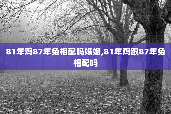 81年鸡87年兔相配吗婚姻,81年鸡跟87年兔相配吗