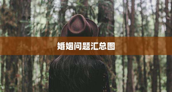婚姻问题汇总图