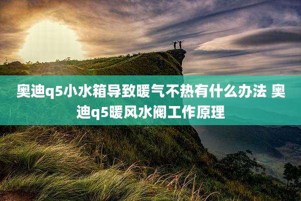 奥迪q5小水箱导致暖气不热有什么办法 奥迪q5暖风水阀工作原理