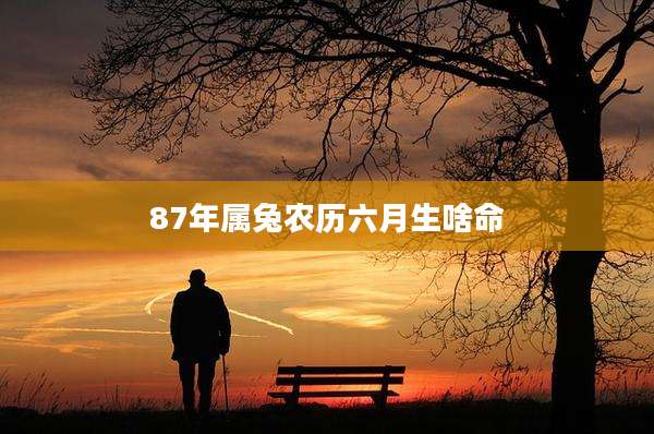 87年属兔农历六月生啥命