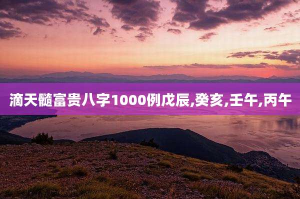 滴天髓富贵八字1000例戊辰,癸亥,壬午,丙午