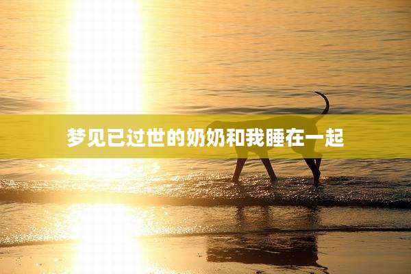 梦见已过世的奶奶和我睡在一起