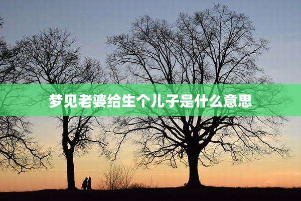 梦见老婆给生个儿子是什么意思