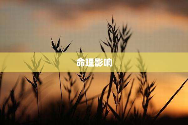 命理影响