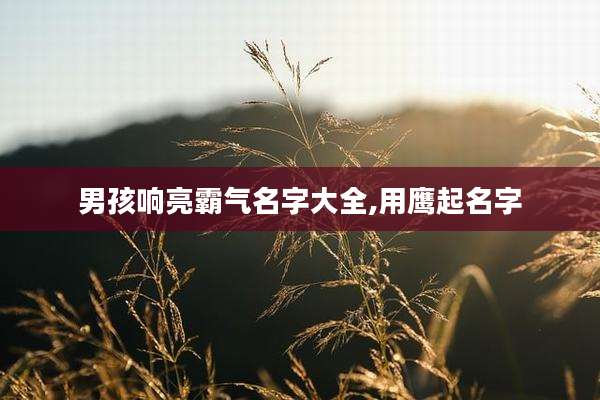 男孩响亮霸气名字大全,用鹰起名字