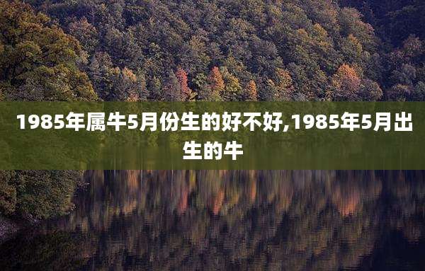 1985年属牛5月份生的好不好,1985年5月出生的牛