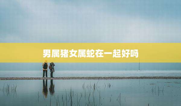 男属猪女属蛇在一起好吗