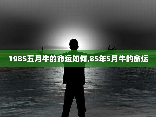 1985五月牛的命运如何,85年5月牛的命运