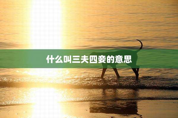 什么叫三夫四妾的意思