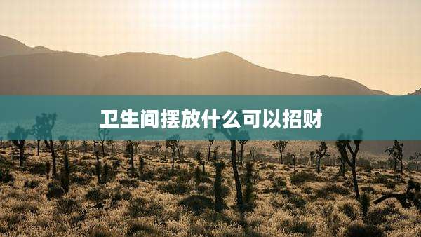卫生间摆放什么可以招财