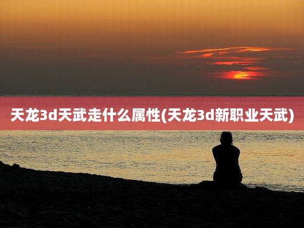 天龙3d天武走什么属性(天龙3d新职业天武)