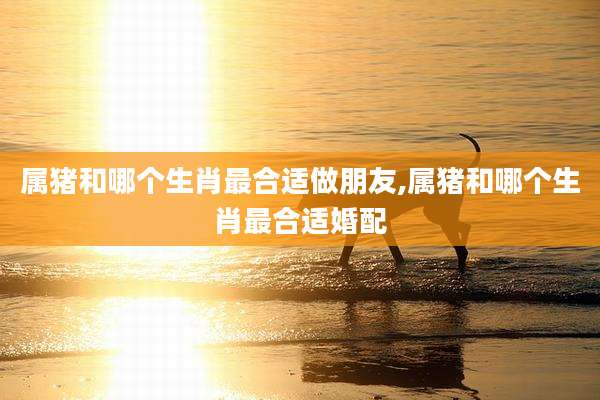 属猪和哪个生肖最合适做朋友,属猪和哪个生肖最合适婚配