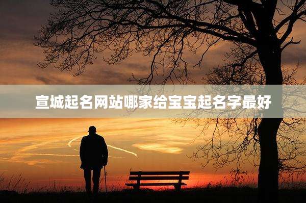 宣城起名网站哪家给宝宝起名字最好