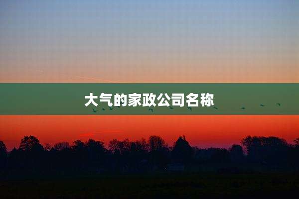 大气的家政公司名称