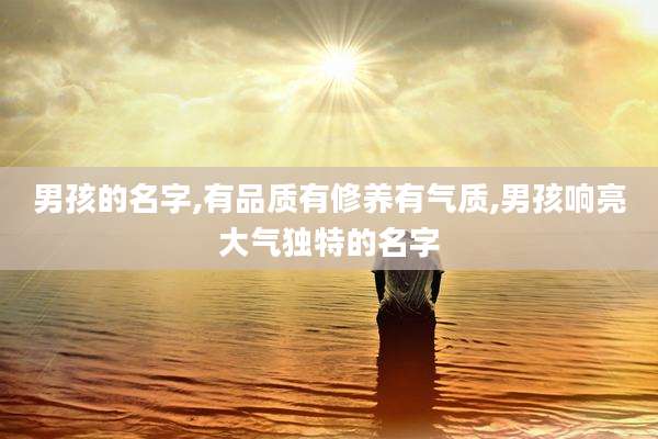 男孩的名字,有品质有修养有气质,男孩响亮大气独特的名字
