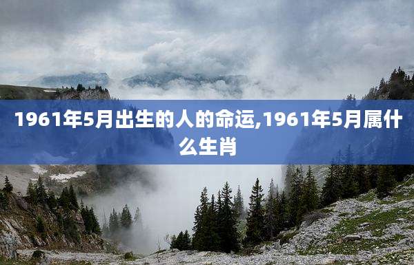 1961年5月出生的人的命运,1961年5月属什么生肖