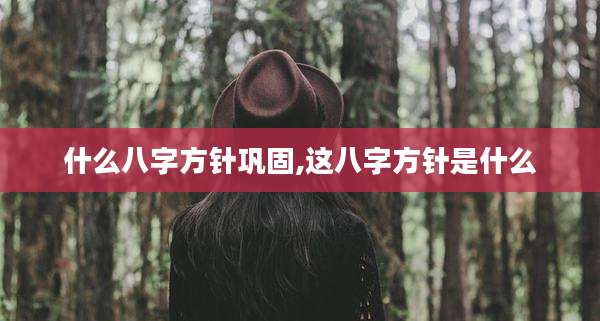 什么八字方针巩固,这八字方针是什么