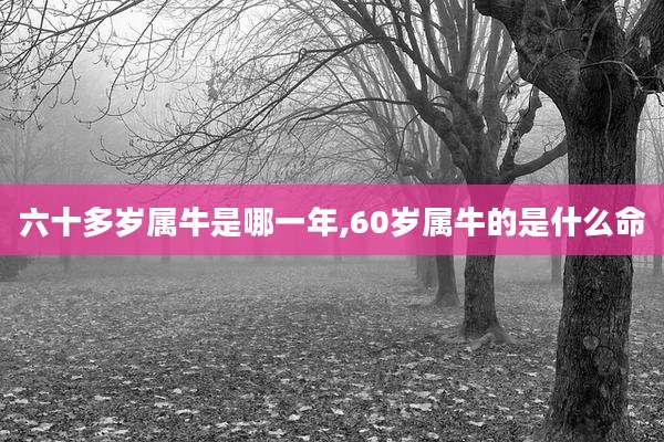 六十多岁属牛是哪一年,60岁属牛的是什么命