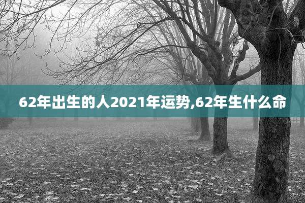 62年出生的人2021年运势,62年生什么命